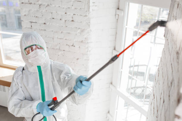 Best Dehumidification Services  in East Lake Orient Park, FL