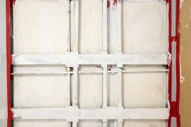 Asbestos and Lead Testing During Mold Inspection in East Lake Orient Park, FL
