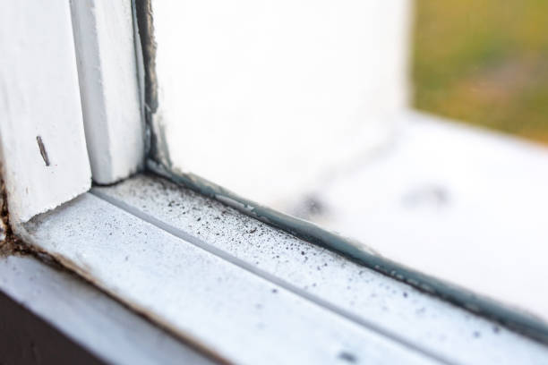 Best Indoor Air Quality Assessment  in East Lake Orient Park, FL