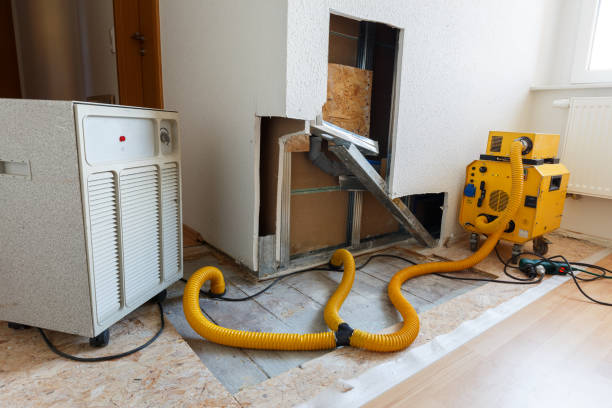 Best HVAC Mold Inspection and Cleaning  in East Lake Orient Park, FL