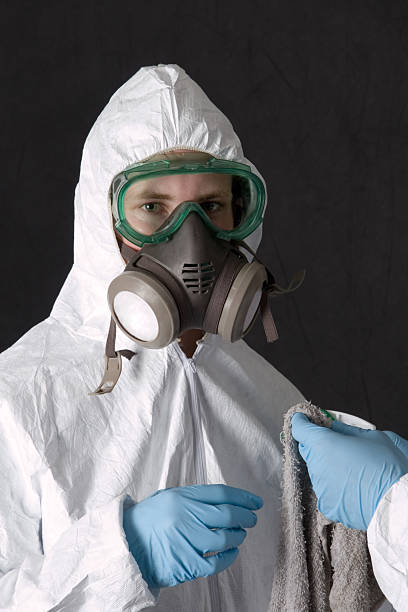 Reliable East Lake Orient Park, FL Mold Removal Solutions